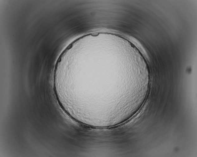 X0000099931244200806201049