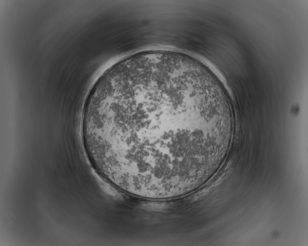 X0000099931245200806201049