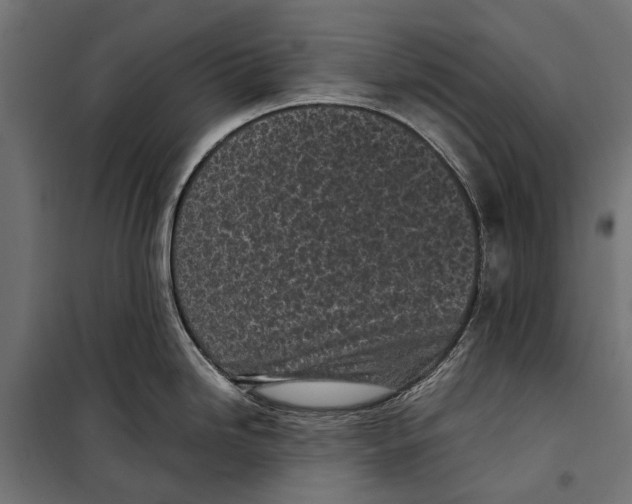 X0000099931246200806201049