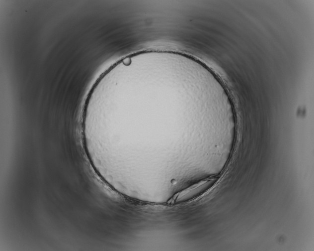 X0000099931248200806201049