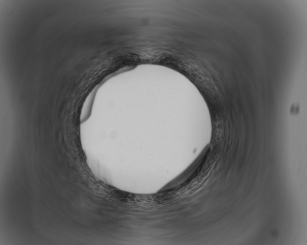 X0000099931249200806201048