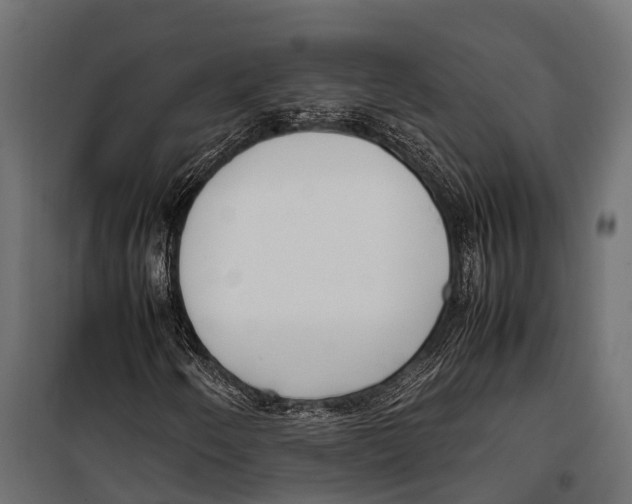 X0000099931250200806201048