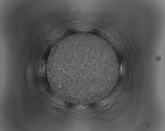 X0000099931251200806201048