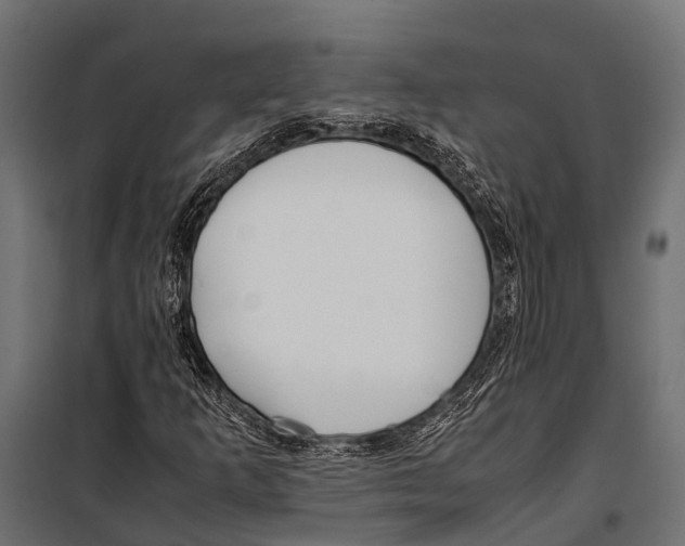 X0000099931253200806201048