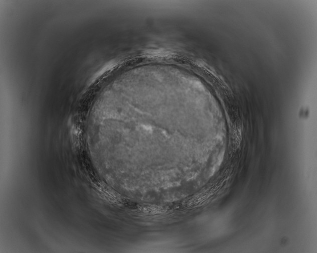 X0000099931254200806201048