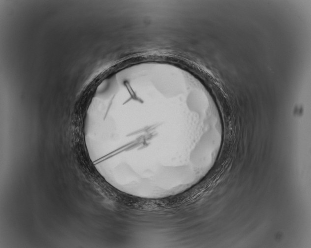 X0000099931255200806201048