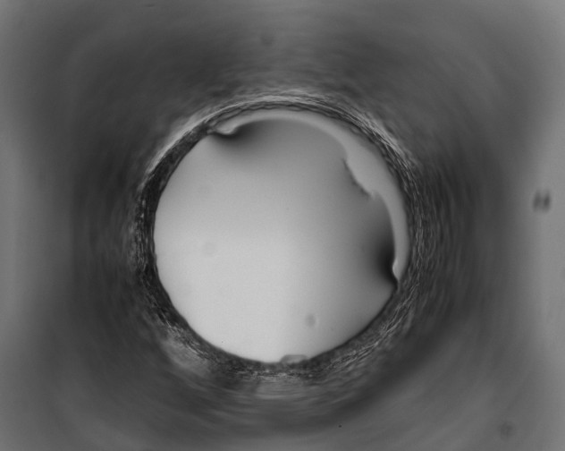 X0000099931256200806201048