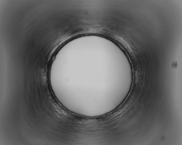 X0000099931260200806201048