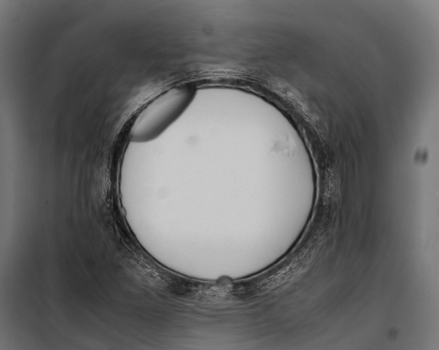 X0000099931261200806201048