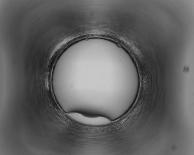 X0000099931262200806201048