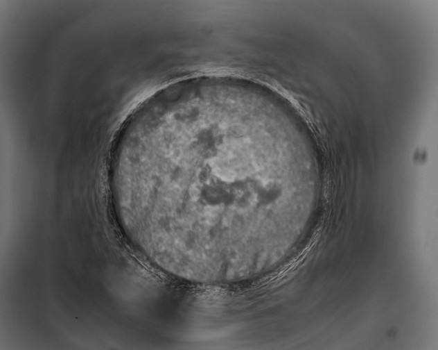 X0000099931263200806201048