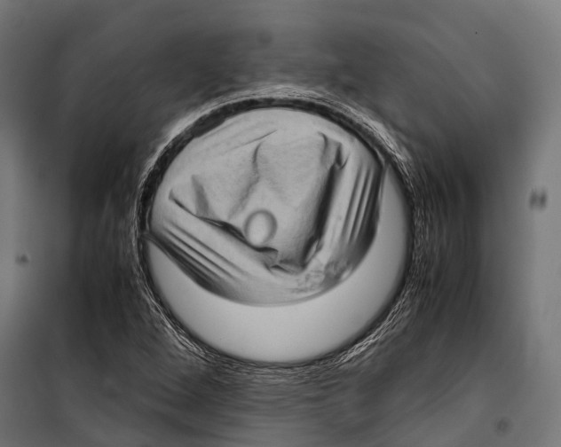 X0000099931264200806201048