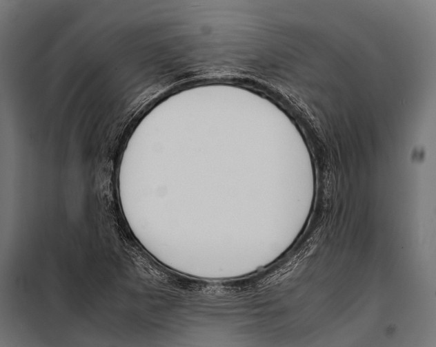 X0000099931265200806201048