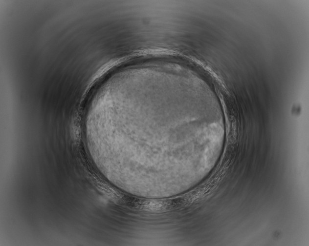 X0000099931266200806201048