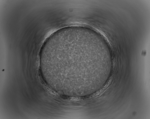 X0000099931267200806201048