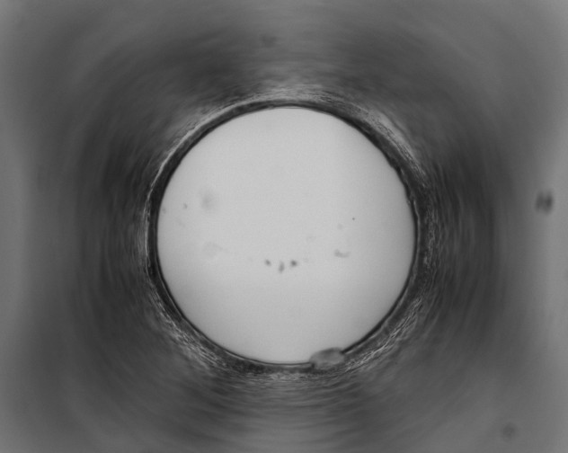 X0000099931268200806201048