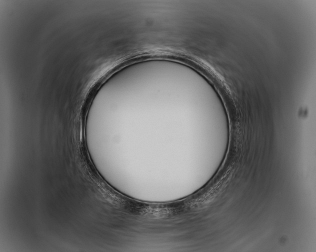 X0000099931269200806201048