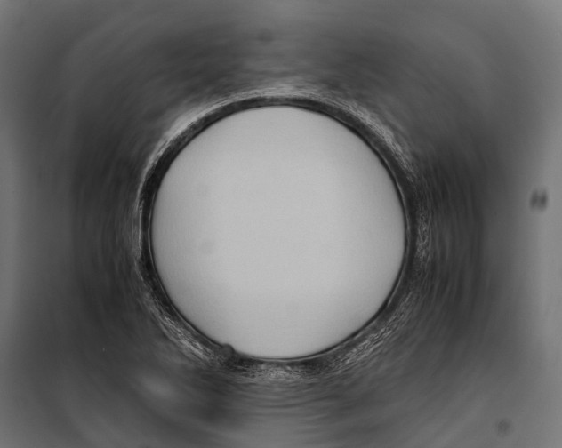 X0000099931270200806201048