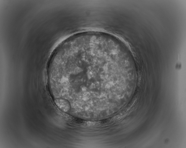 X0000099931271200806201048