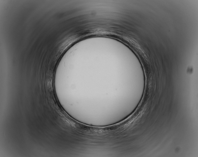 X0000099931273200806201048