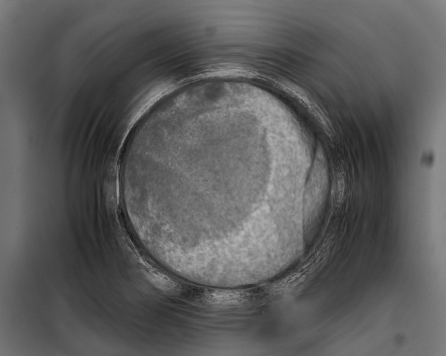 X0000099931274200806201048