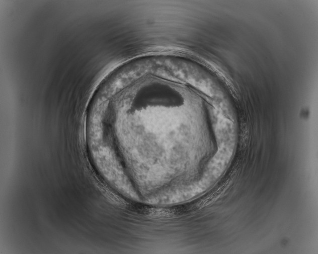 X0000099931275200806201048