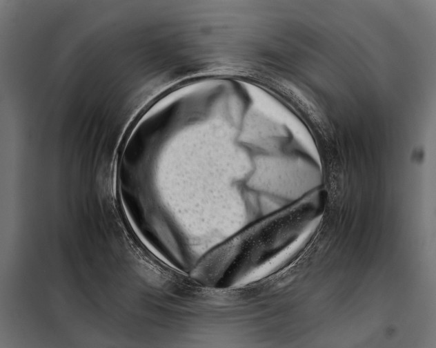 X0000099931276200806201048