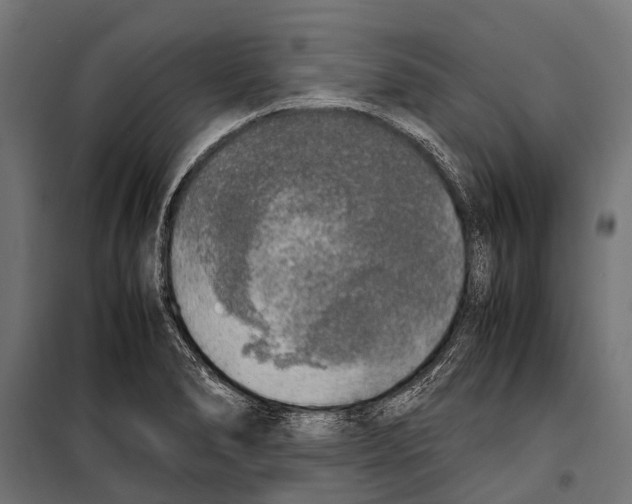 X0000099931278200806201048