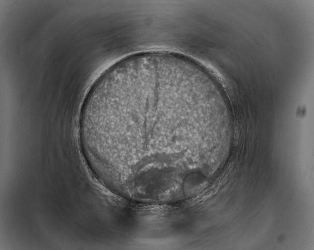 X0000099931279200806201048