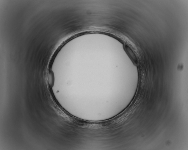 X0000099931280200806201048