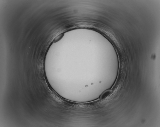 X0000099931281200806201048