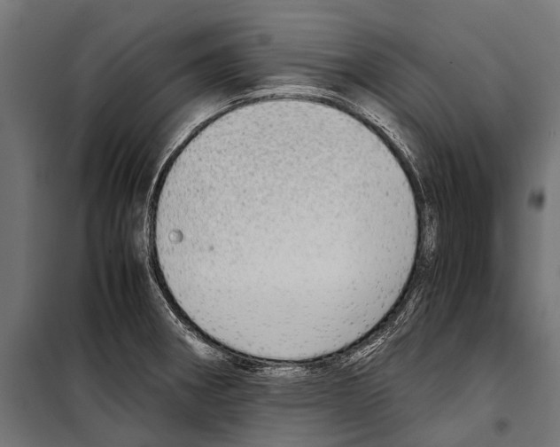 X0000099931282200806201048