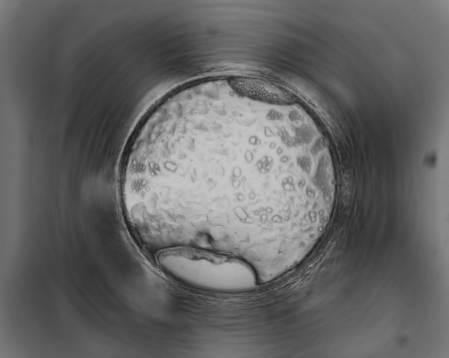 X0000099931283200806201048