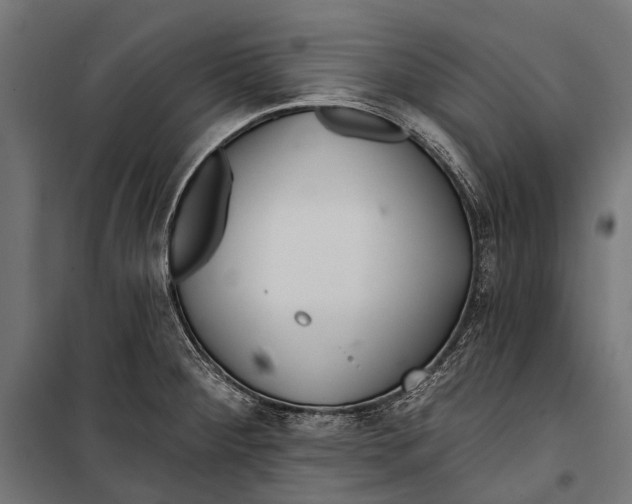 X0000099931284200806201048