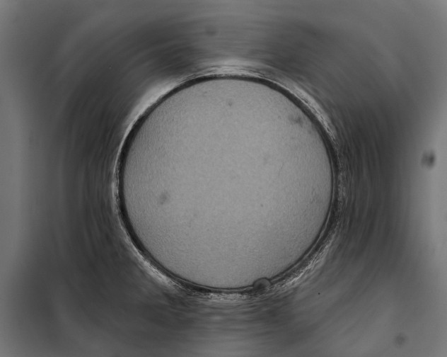 X0000099931285200806201048