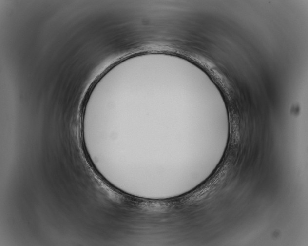 X0000099931286200806201048