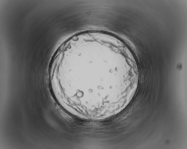 X0000099931287200806201048