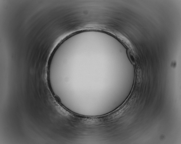 X0000099931288200806201048