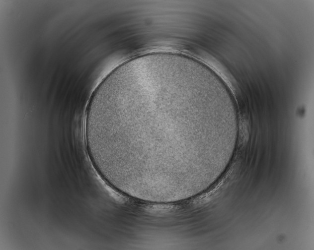 X0000099931290200806201048