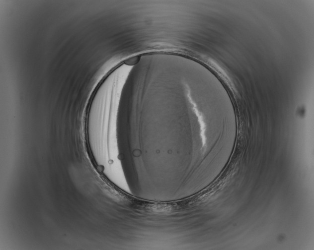 X0000099931291200806201048