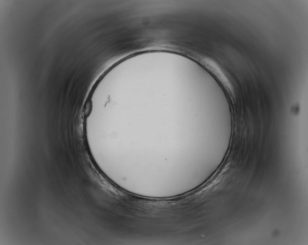 X0000099931292200806201048