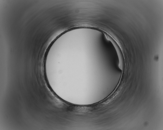 X0000099931293200806201048