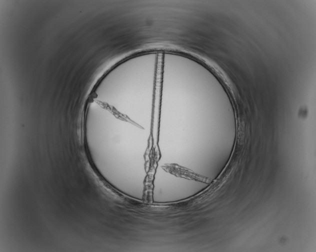 X0000099931295200806201048