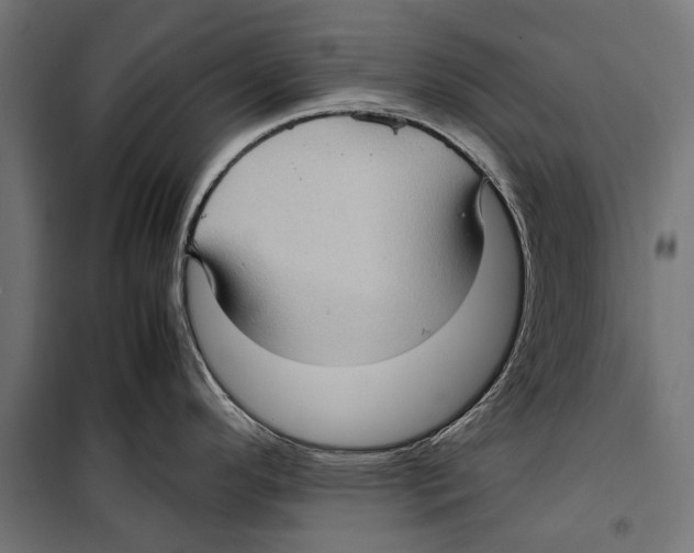 X0000099931296200806201048