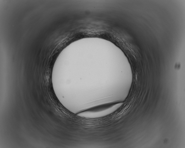 X0000099931300200806201047