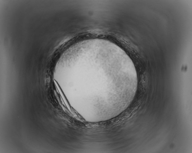 X0000099931302200806201047