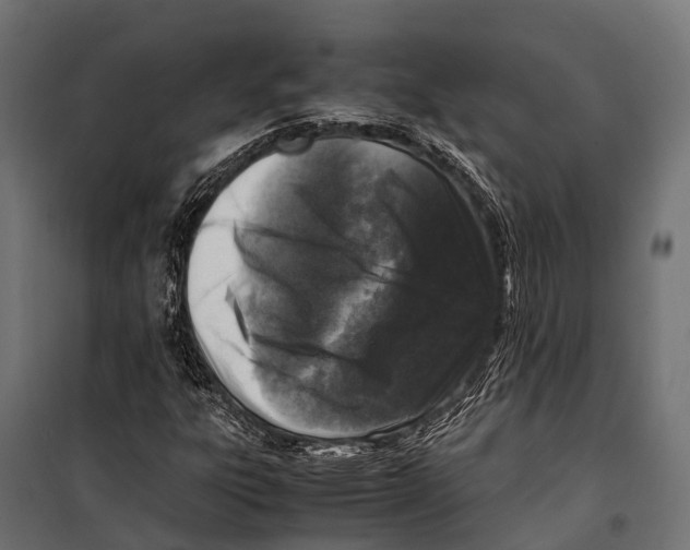 X0000099931303200806201047