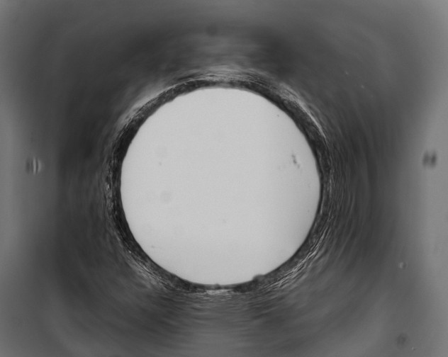 X0000099931304200806201047