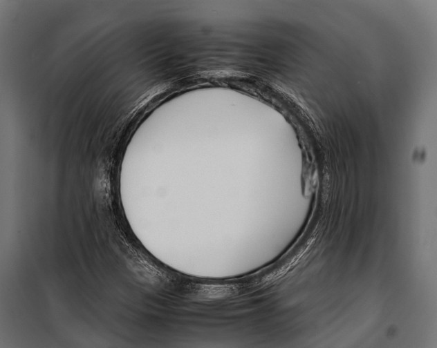 X0000099931305200806201047