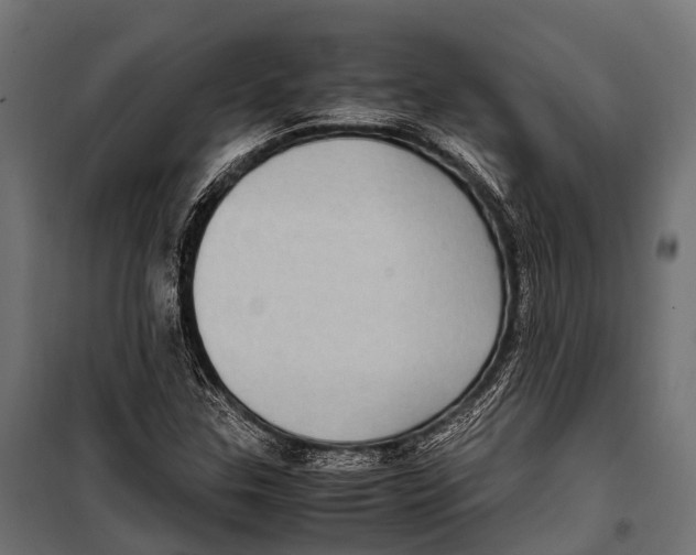 X0000099931307200806201047